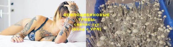 тгк Белокуриха