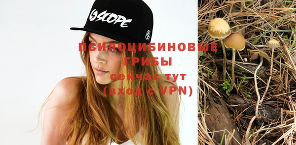 СК Богданович