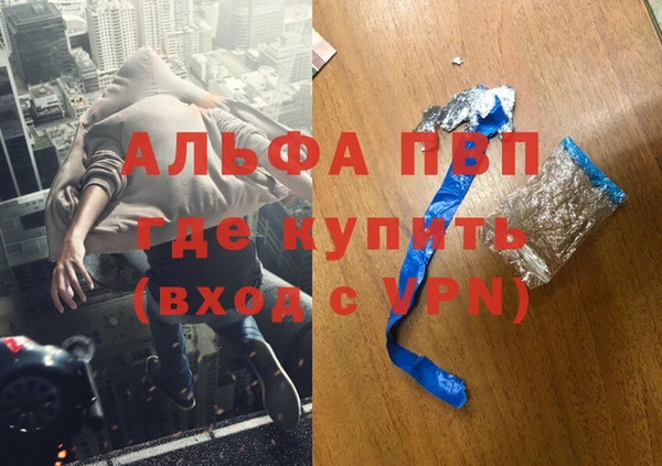 ECSTASY Богородицк