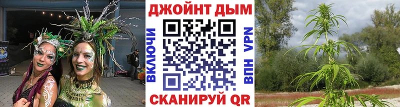 Купить  Высоковск  Марихуана OG Kush 